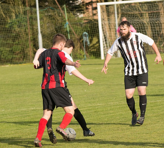 在迅速传播 在迅速传播