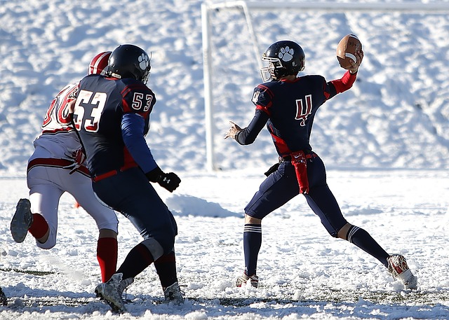 尽管加布里 尽管加布里