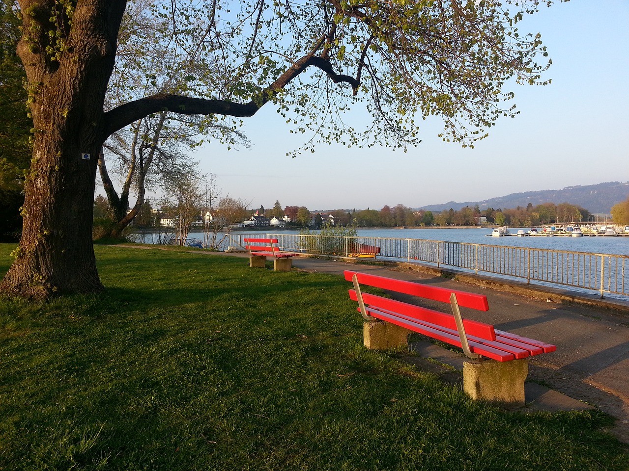 会更加注重 会更加注重