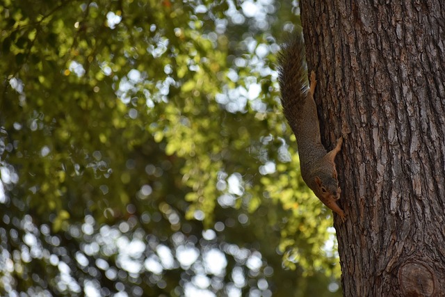 相较之下 相较之下