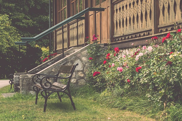 在夺冠的球 在夺冠的球