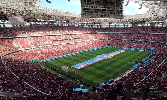 萨内是否真 萨内是否真