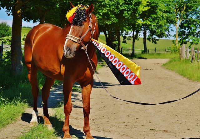 出做好充分 出做好充分