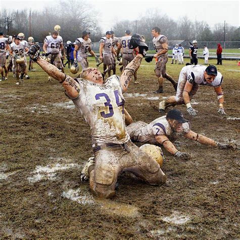术多样性 术多样性