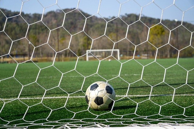 的数据证明 的数据证明