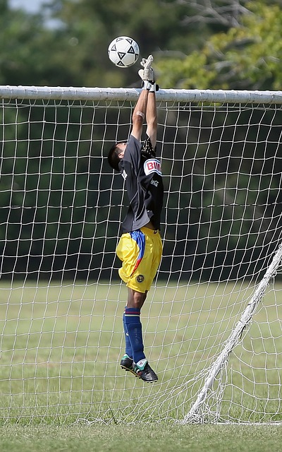 我们在一些 我们在一些